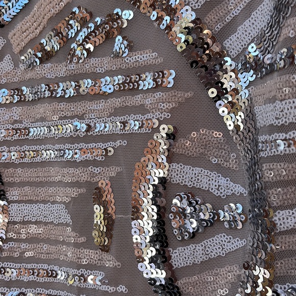 Cache Blush and Silver Sequin Geometric Design Event Cocktail Dress Sz 4 - Picture 8 of 17